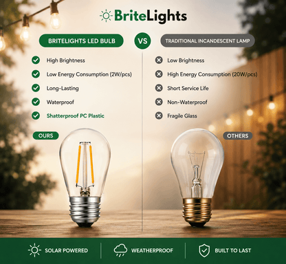 BriteLights™ Solar Festoon Lights