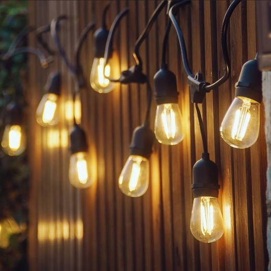 BriteLights™ Festoon Light Replacement Bulbs (6 Pack)