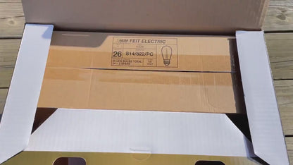 BriteLights™ Solar Festoon Lights (2024 Version)